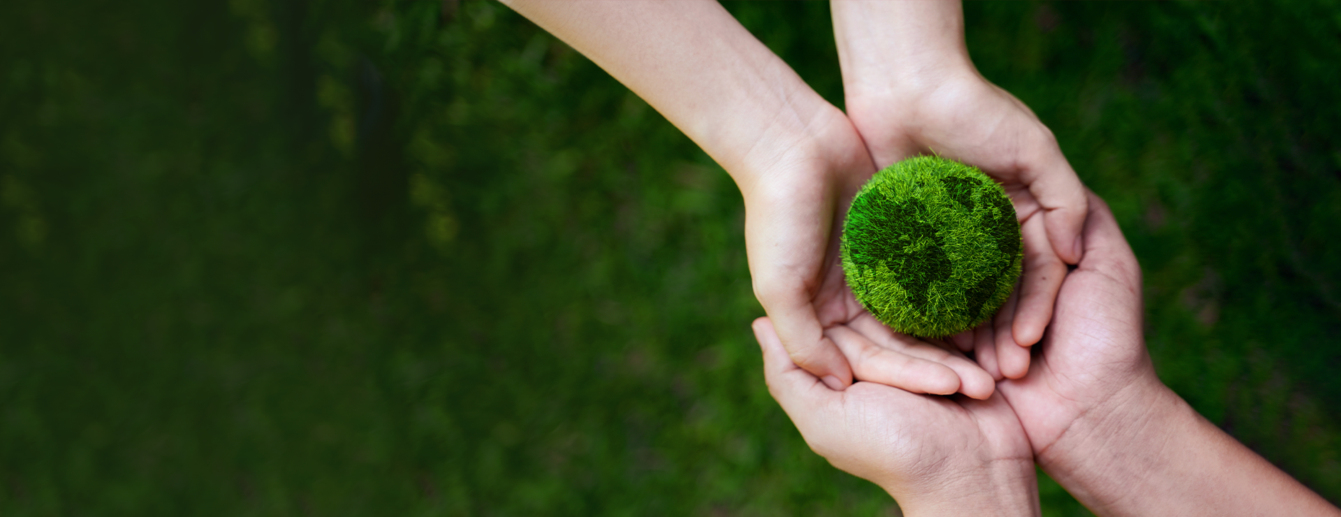 PC 메인 이미지 0